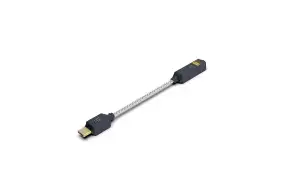 iFi Audio Go Link 2 – Tragbarer DAC- und Kopfhörerverstärker – USB-C auf 3,5 mm 