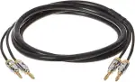 Amazon Basics 16AWG Lautsprecherkabel mit vergoldeten Bananenspitzen (4 mm) – CL2 – 99,9 % sauerstofffrei – 1.8 m (6 Fuß), Schwarz