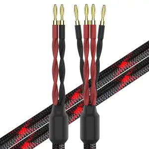 KK Cable k4B-2B Bi-Wire Lautsprecherkabel, 2,5 m pro Kabel, 1 Paar (12 Bananenst
