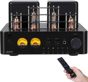 Juson Audio JTA50 130W Röhrenverstärker Einstiegs-HiFi-Verstärker mit BT 5.0, Fe