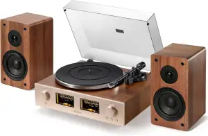 Qlearsoul HiFire X Plattenspieler mit Lautsprechern, Audiophiles HiFi-Turntable-