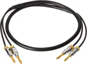 Amazon Basics Lautsprecher-Kabel mit Gold-beschichteten Bananensteckern - CL2 - 